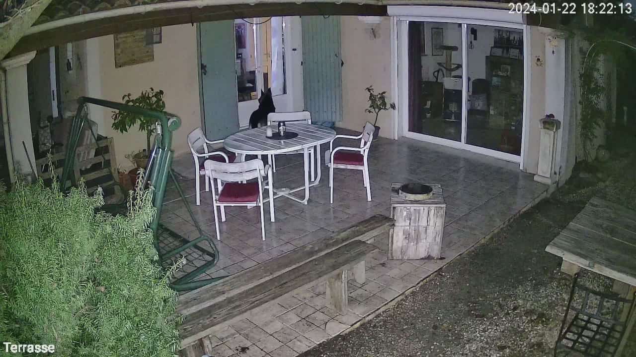 capture d'écran de l'enregistrement via la caméra de nuit